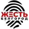 Жесть Белгород