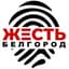 Жесть Белгород